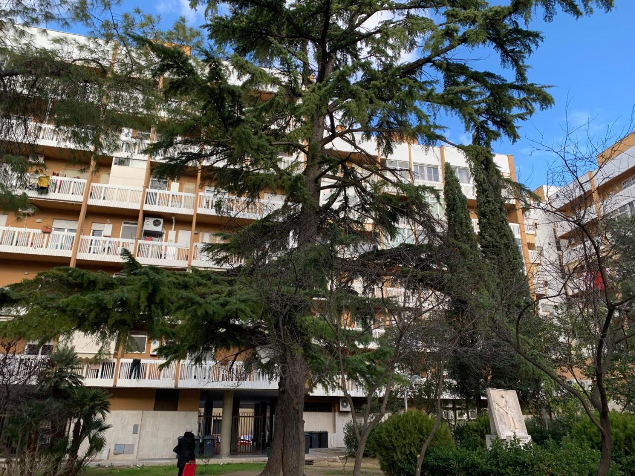 Agora B&B Urban Relais カノーザ・ディ・プーリア エクステリア 写真